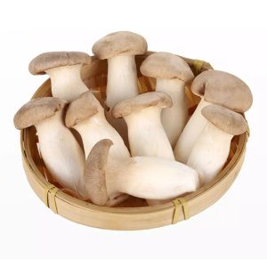 King-Oyster-Mushroom