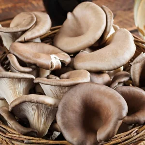 pearl-oyster-mushrooms-cover-pic